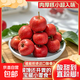 新鮮山楂果現摘現發(fā)冰糖葫蘆原料泡酒罐頭專(zhuān)用酸甜軟糯飽滿(mǎn)圓潤 山楂 250g