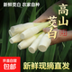 【現采現發(fā)】新鮮茭白時(shí)令蔬菜帶殼茭白高筍應季美食農家自種包郵 現采帶殼茭白1.6-2斤 凈重