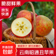 云南昭通丑蘋(píng)果當季水果冰糖心紅蘋(píng)果脆香甜多汁小蘋(píng)果產(chǎn)地直發(fā) （ 中果100g+）含箱5斤【解饞】
