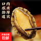 新鮮捕撈鮑魚(yú)鮮活特大鮑魚(yú)海鮮水產(chǎn)非即食 10頭/斤（500克*1包）