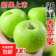 正宗青蘋(píng)果新鮮應季孕婦可食酥脆多汁酸甜蘋(píng)果 帶箱9斤（家庭囤貨裝）