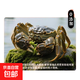 洪澤湖鮮活大閘蟹全母蟹1.5-1.2兩產(chǎn)地直發(fā)大閘蟹河蟹螃蟹 2-2.3全母兩8只裝
