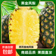 西雙版納黑鉆鳳梨黑金鳳梨爆甜新鮮水果云南鳳梨香水菠蘿手撕鳳梨 2個裝大果（單果900g起）