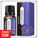 汽車(chē)香薰車(chē)用2024網(wǎng)紅車(chē)載香水香氛去異味太陽(yáng)能旋轉飛機擺件車(chē)內 【單獨】熏衣草香薰精油10ml 1瓶