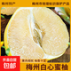 正宗梅州紅心蜜柚紅肉柚子新鮮應季生鮮水果產(chǎn)地直發(fā)蜜柚整箱包郵 白心蜜柚 小果 凈重1.4+ 1粒