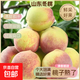正宗山東新鮮冬桃脆甜桃子現摘毛桃脆桃脆甜多汁孕婦水果-騏鮮園 冬桃 帶箱9斤