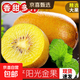 陽(yáng)光金果國產(chǎn)獼猴桃奇異果金桃彌泥猴桃新鮮水果生鮮大果孕婦當季 20枚大果 90-110g