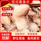 微山湖野生黑魚(yú)片 烏魚(yú)片活魚(yú)現切250g/盒 酸菜魚(yú)火鍋食材淡水 野生黑魚(yú)片250g*2盒