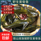 微山湖當天捕撈野生黃骨魚(yú)黃辣丁嘎魚(yú)凈膛海鮮水產(chǎn)生鮮魚(yú)類(lèi) 400g*3盒【12-18條】
