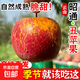 正宗云南昭通丑蘋(píng)果10斤新鮮現摘孕婦脆甜水果整箱一級紅露冰糖心 9斤【80-85mm】大果|人氣熱賣(mài)