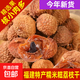 福建特產(chǎn)大果扁荔枝干非妃子笑糯米荔枝干貨核小肉厚甜糯500g煲湯 精品荔枝干  250克/半斤