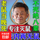 老鼠藥三步到一聞就死一窩端神器正宗特效家用室內外超強力滅耗子 老鼠藥三步到一聞就死一窩端1袋