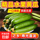 正宗山東水果壽光小黃瓜荷蘭生吃新鮮青瓜現(xiàn)摘整箱 產(chǎn)地直發(fā)帶箱5斤