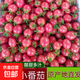 新鮮千禧圣女果小番茄現摘現發(fā)多汁水果適合孕婦食用 5斤