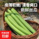 新鮮山東長(zhǎng)香絲瓜產(chǎn)地直發(fā)時(shí)令蔬菜綠皮絲瓜當(dāng)季現(xiàn)摘消暑解膩 4斤