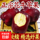 甘肅天水花牛蘋(píng)果【多地次日達】紅蛇粉面蘋(píng)果平果水果禮盒中秋 普箱天水花牛蘋(píng)果帶箱9斤80mm以上