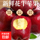 2025年現摘現發(fā)甘肅天水花牛蘋(píng)果新鮮紅蛇果粉面生鮮脆甜多汁A14 帶箱9斤  果徑75mm以上
