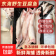 野生龍頭魚新鮮冷凍豆腐魚新鮮特級鼻涕魚海鮮九肚魚輔食水潺 野生海捕龍頭魚10-15/斤3斤裝