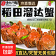 盤(pán)錦稻田河蟹0.7-0.9 鮮活公母螃蟹大閘蟹北方好吃中秋禮品 稻田蟹16只+2只補死亡