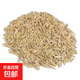 飼用燕麥草種子高產(chǎn)四季牧草籽耐寒養殖豬牛羊雞鴨鵝兔魚(yú)草籽 飼用燕麥草種子1斤裝