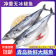 京喜加鲅魚(yú) 鮮活冷凍無(wú)冰新鮮海鮮水產(chǎn)生鮮魚(yú)類(lèi)商用食材 4斤 無(wú)冰鲅魚(yú)【6-8兩/條】