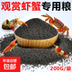 觀(guān)賞蝦專(zhuān)用糧小龍蝦飼料蝦食蝦糧蝦料水晶蝦糧黑殼蝦鰲蝦蟹糧 觀(guān)賞蝦/蟹糧200g/袋裝【下沉飼料】