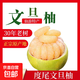 正宗福建仙游度尾文旦柚大果禮盒送禮 紅心密柚子當季水果特大果 2?！緹o(wú)孔果 2.5斤-3.2斤左右】