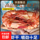 九節蝦干超大特大對蝦類(lèi)斑節蝦對蝦烤蝦竹節蝦大號九節蝦源頭直發(fā) 特大九節蝦（30-40只） 500g(凈重)