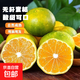 兀果語(yǔ)2025年云南密桔酸桔子當季薄皮橘子孕婦新鮮水果爆汁無(wú)核青 10斤