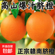 正宗贛南臍橙江西橙子新鮮水果精品大果應季水果 1斤裝（60-70MM）