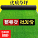 仿真草坪加密加厚人工戶(hù)外人造塑料草坪幼兒園公園耐踩裝飾草皮 25mm厚夏草2*25米50平方整卷