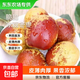 【東東農場(chǎng)專(zhuān)供】廟上冬棗新鮮水果當季冰糖超甜棗子脆棗鮮棗青棗 皮薄肉厚8g+帶箱1斤