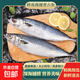 海捕青占魚(yú) 鮐鲅魚(yú)鮮活速凍 肉質(zhì)鮮嫩 營(yíng)養豐富 1500g/袋