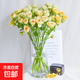 【AB級多頭玫瑰花】花店同款泡泡鮮花云南花束高品質(zhì)花材七夕禮物 AB級泡泡【牛油果泡泡10枝】