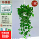 綠蘿客廳綠植室內懸掛長(cháng)藤盆栽壁掛吊蘭真花植物吊掛爬藤花卉綠籮 白盆精品吊掛(可擺放)加長(cháng)款 帶盆栽好
