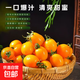 即食黃金圣女果新鮮水果西紅柿農家自然熟孕婦蔬菜生吃非千禧番茄 1斤（含箱） 黃色圣女果