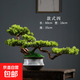 崖柏盆景仿真迎客松高端輕奢綠植盆景擺件造景酒店裝飾仿生樹(shù)玄關(guān) 老樁款式四