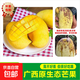【花皮介意慎拍】新鮮四季芒果當季特產(chǎn)水果半熟果發(fā)貨 帶箱4斤中大果 單果70-100克