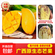 廣西芒果鮮現摘產(chǎn)地直發(fā)微花皮半黃發(fā)貨 2斤大果【帶箱】89g+（花皮介意慎拍）