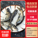 花鰱魚(yú)黑鳙魚(yú)胖頭魚(yú)苗大頭魚(yú)苗活體淡水食用養殖包活特大好養包郵 10-15cm55條/含10%防損/花鰱魚(yú)苗