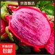 京喜加【精品一級果】廣西金都一號樹(shù)上自然熟紅心火龍果 1粒嘗鮮裝單果300g+