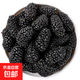 【無(wú)干燥劑凈重】新疆特產(chǎn)桑葚干黑桑椹干果泡水泡酒批發(fā)干凈無(wú)沙 桑葚干 500g