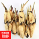 大型觀(guān)賞荷花種藕苗 蓮藕種苗 盆栽荷花種根苗荷花苗蓮藕苗蓮花苗 高產(chǎn)可食用淺水藕【適合稻田水田 十顆裝【帶芽發(fā)貨】