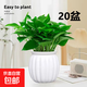 特價(jià)綠蘿盆栽室內客廳辦公室吸甲醛凈化空氣水培植物綠植花卉好養 【新店開(kāi)業(yè)20盆】綠蘿+白色南瓜盆自吸水 整體含盆高度20-25cm