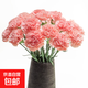 【單頭康乃馨】鮮切花多色云南基地直發(fā)送媽媽送老婆花七夕節禮物 單頭康乃馨粉鉆20枝