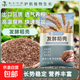 稻殼發(fā)酵腐熟稻谷殼種菜種花改良土壤稻殼炭草木灰園藝通用營(yíng)養土 發(fā)酵稻殼【20斤】深度腐熟