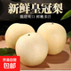 河北皇冠梨脆甜多汁皮薄肉厚水果生鮮產(chǎn)地直發(fā)冀果田1 凈重8.5斤裝