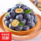 進(jìn)口藍莓鮮果酸甜口感冷凍藍莓干特級孕婦寶寶即食 藍莓中果單果14mm+ 進(jìn)口藍莓嘗鮮125g*2盒裝