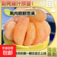 玉環(huán)早熟文旦柚玉環(huán)白柚蜜柚當季新鮮水果生鮮鮮嫩多汁稀缺果旺樂(lè ) 文旦 2個(gè)裝 凈重4-5斤