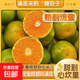 正宗涌泉蜜桔臨海橘子新鮮薄皮當季浙江黃巖無(wú)核蜜橘鮮榨現發(fā) 帶箱5斤 （中果50-60mm）